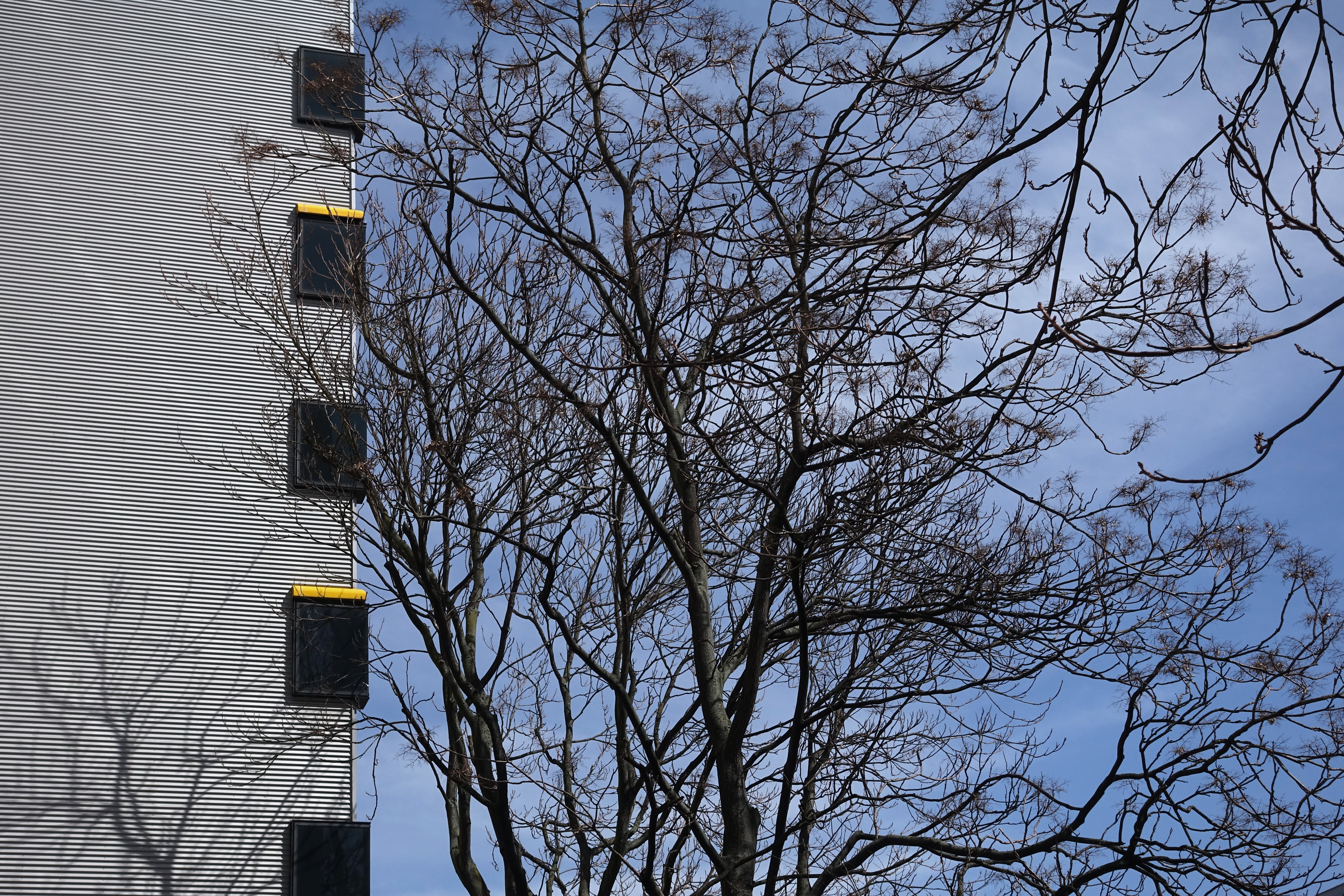 Christoph Radke, Berlin, Karl-Liebknecht-Straße, 2018